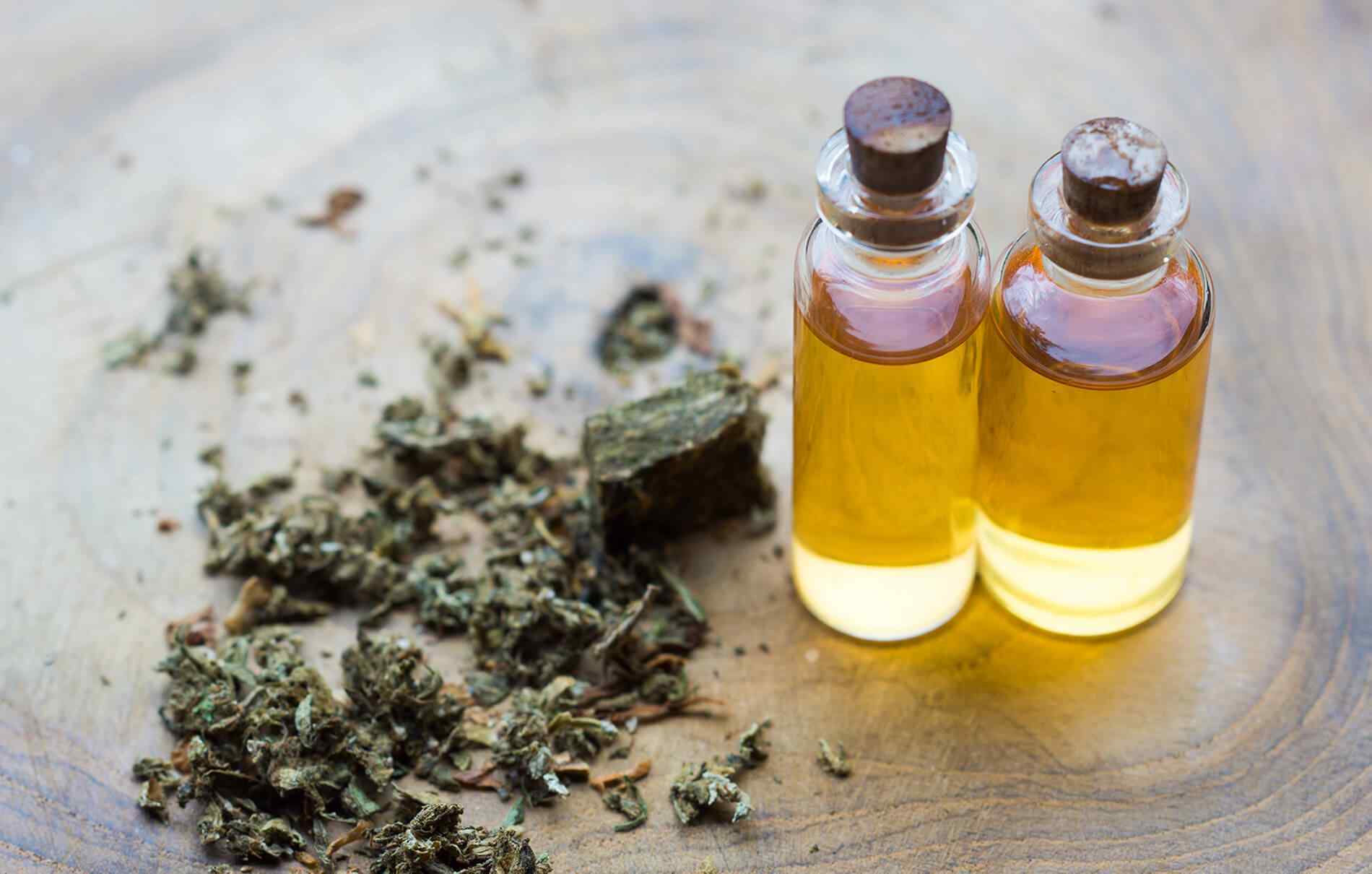 https://greenhigh.de/wp-content/uploads/2018/12/inner_service_02.jpg