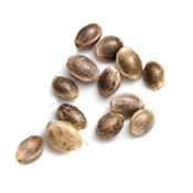 https://greenhigh.de/wp-content/uploads/2019/01/inner_product_02.png